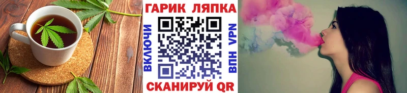 МЕГА tor  наркотики  Ядрин  Cannafood марихуана 