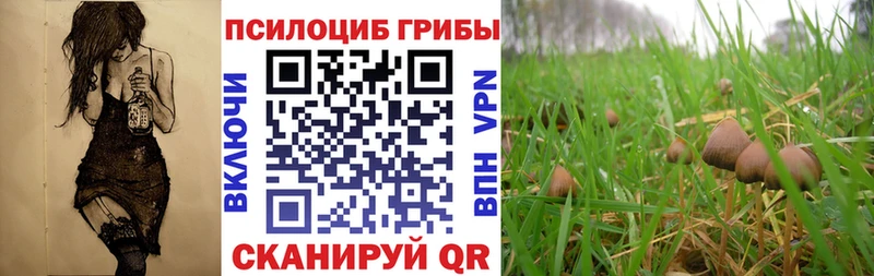 Галлюциногенные грибы прущие грибы  купить   Ядрин 